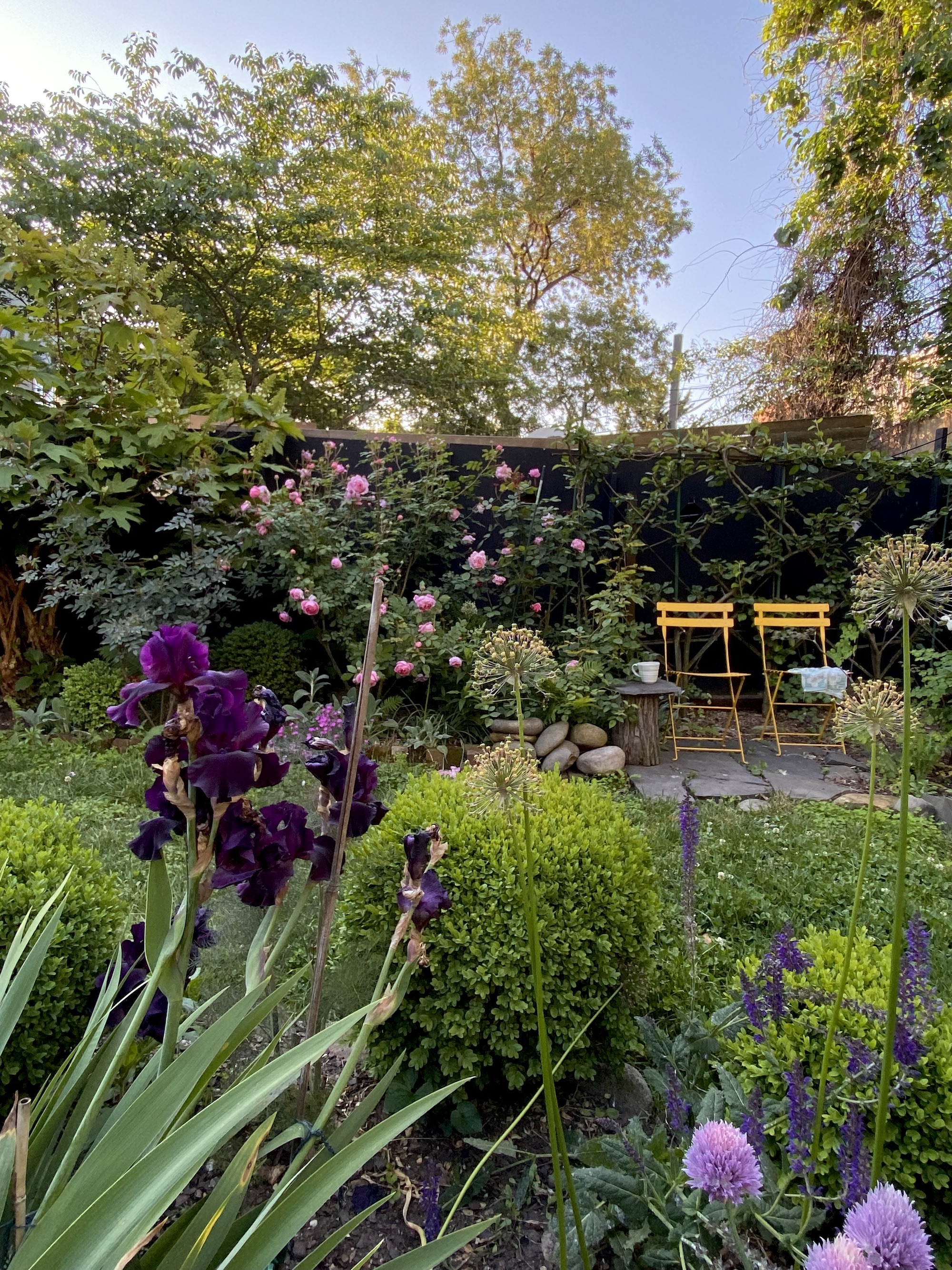SHOP Botanik  Distinctive Garden and Outdoor Furnishings