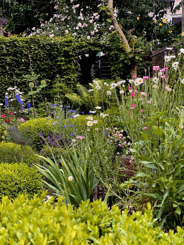 Melissa Goldstein's Flower-Filled Brooklyn Backyard: Garden Visit