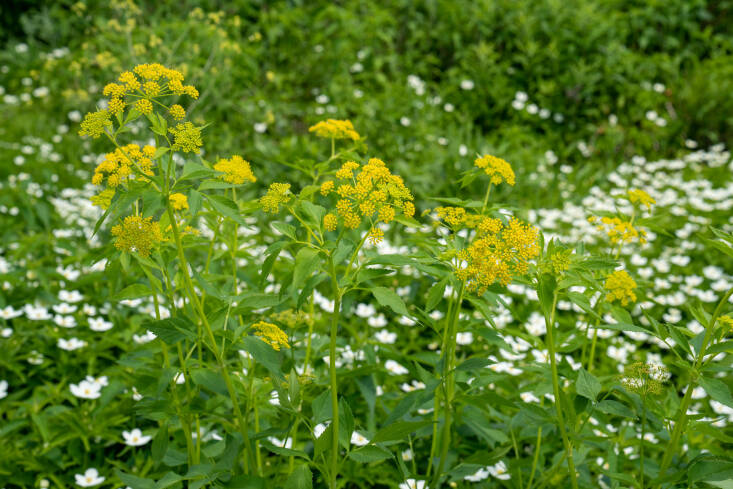 Photograph by Mississippi Watershed Management Organization, via Flickr.