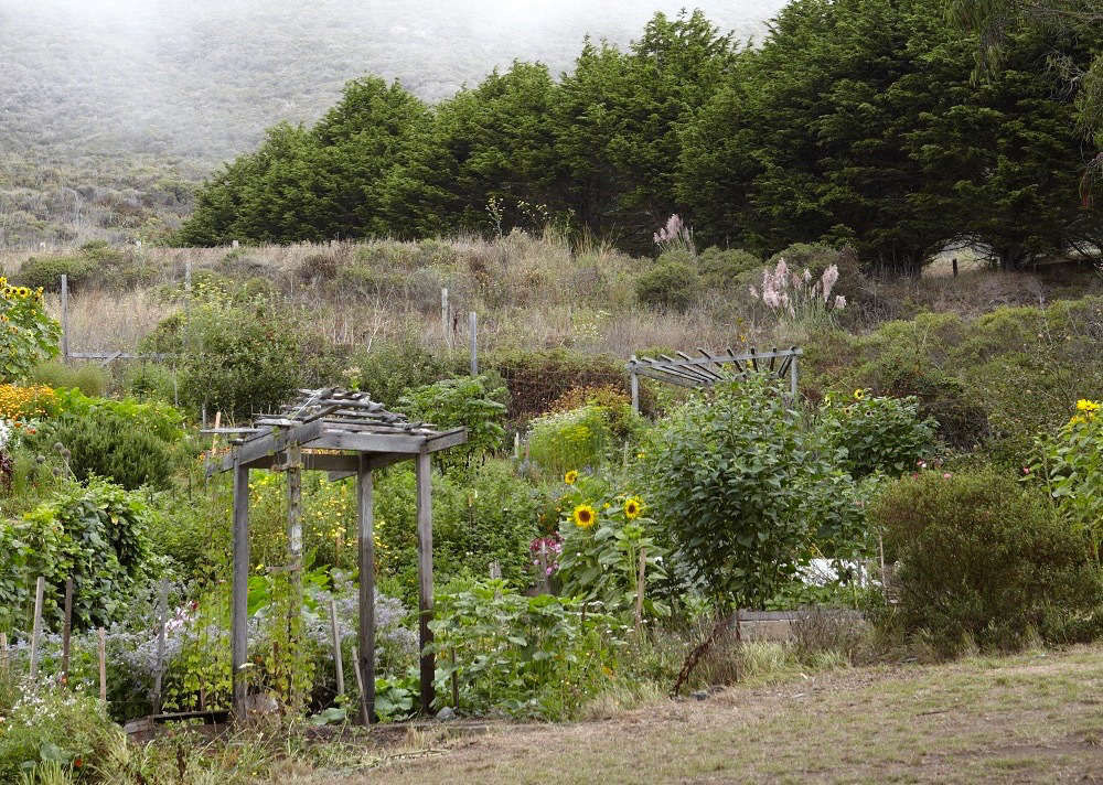 Landscaping 101: Biodynamics For The Edible Garden - Gardenista Web ...