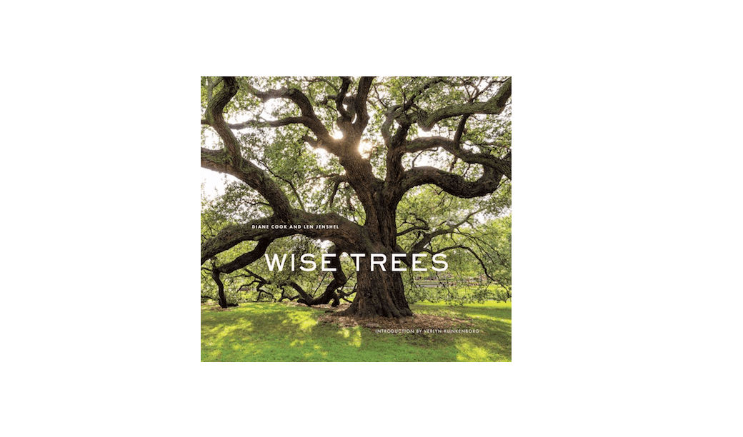 Required Reading: Wise Trees - Gardenista