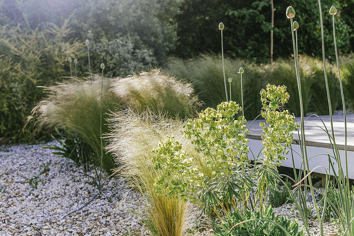 Before & After: An Airy Gravel Garden for a Midcentury British House in West Dorset - Gardenista