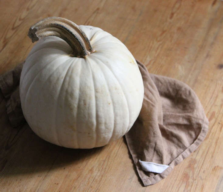 Field Guide: Pumpkins - Gardenista