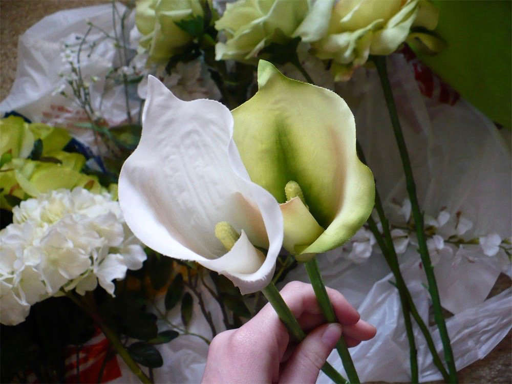 Gardening 101: Calla Lily - Gardenista