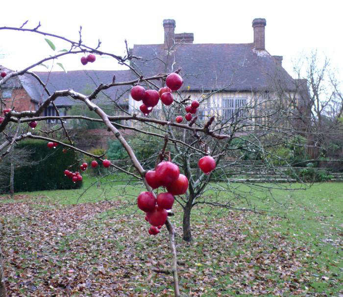 Garden Visit: Great Dixter's Warmth in Winter - Gardenista