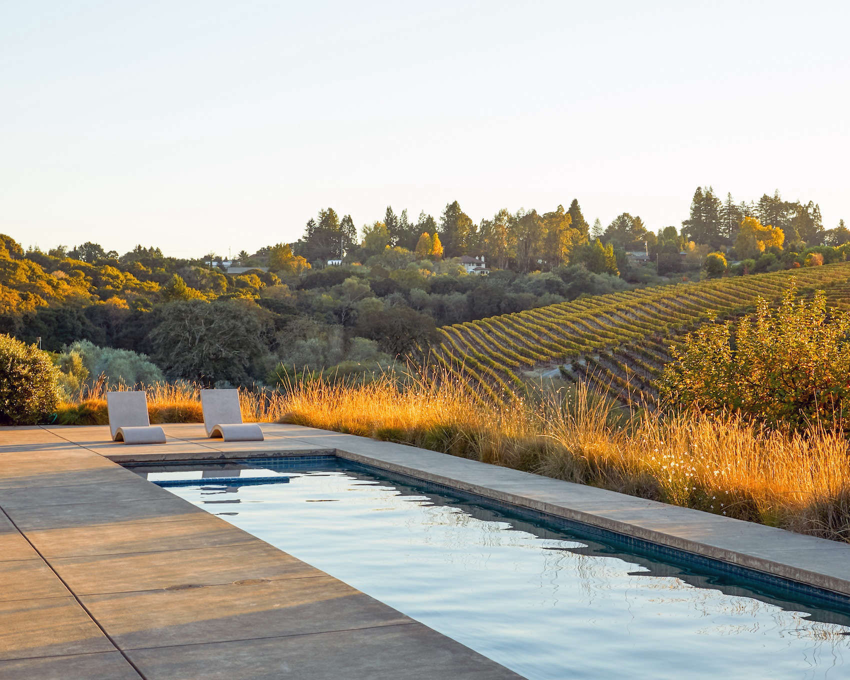 The Winemaker's Life: A Garden Idyll in Northern California - Gardenista