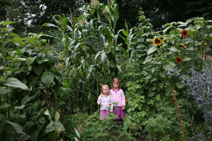 The Grateful Gardener: 10 Things to Be Thankful for in 2017 - Gardenista