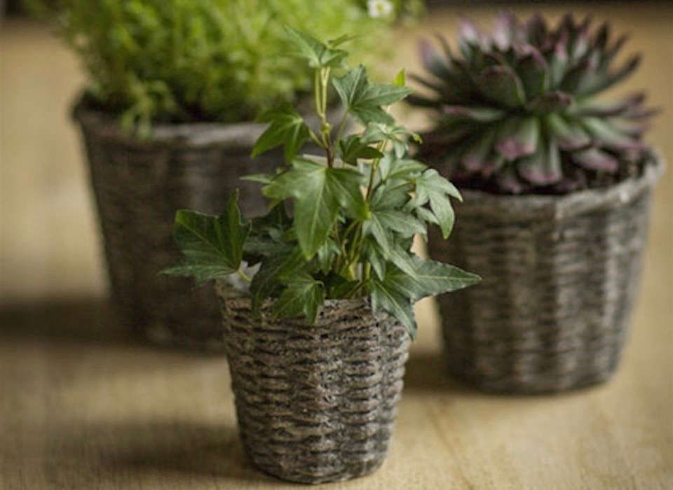 Object of Desire: Basket Weave Concrete Plant Pots - Gardenista