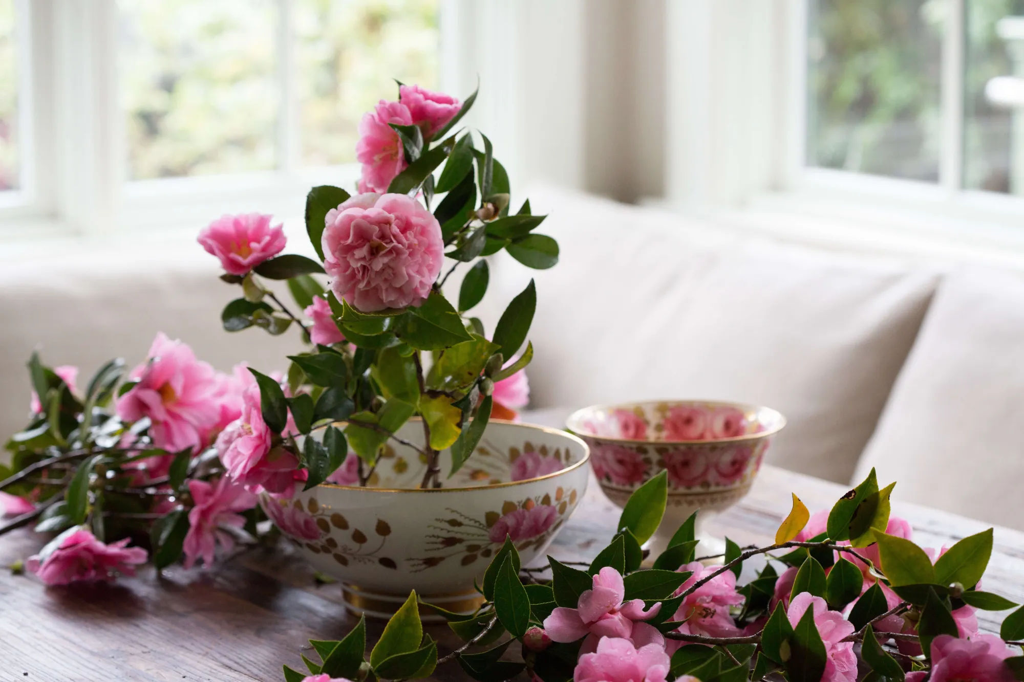 Rethinking Camellias: A Formal Flower Learns to Relax - Gardenista