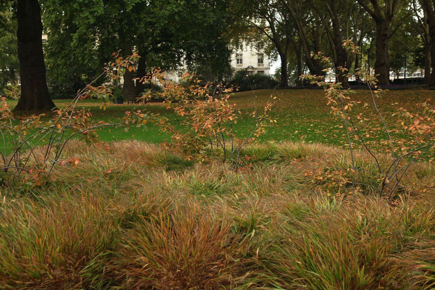 Almost Private: A Secret River Garden in Central London - Gardenista