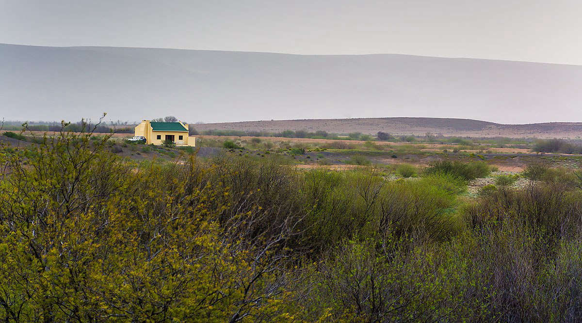 Calling All Foragers: Wildcrafting Holidays in South Africa, from Low-Budget to Luxe - Gardenista