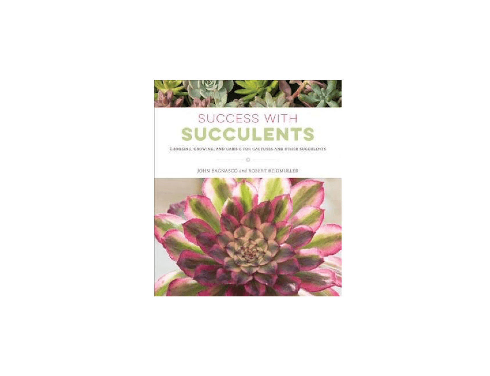 Required Reading: Success With Succulents - Gardenista