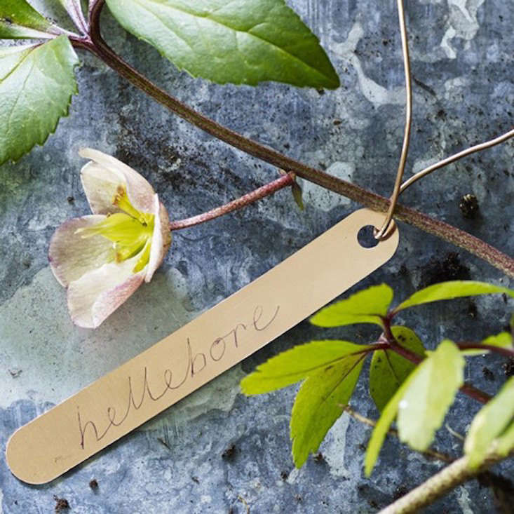 Gift Guide: For the English Gardener - Gardenista