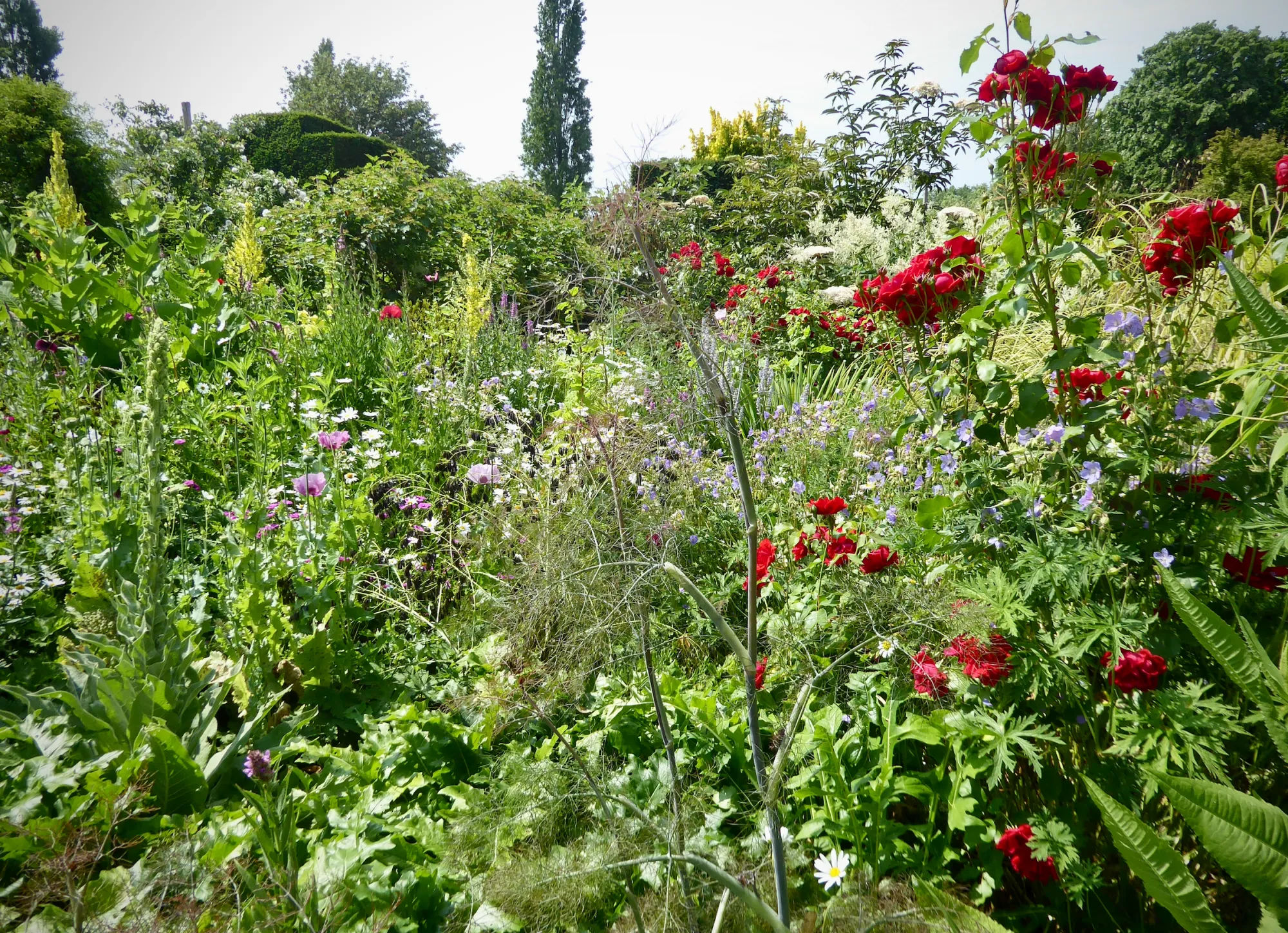 Great Dixter: Fergus Garrett Creates Art in the Garden