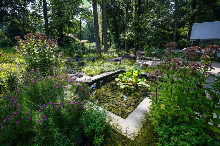  Above: The plantings surrounding the formal pool are carefully designed, but have a naturalistic feel that gives some intent to the wilder landscape. 