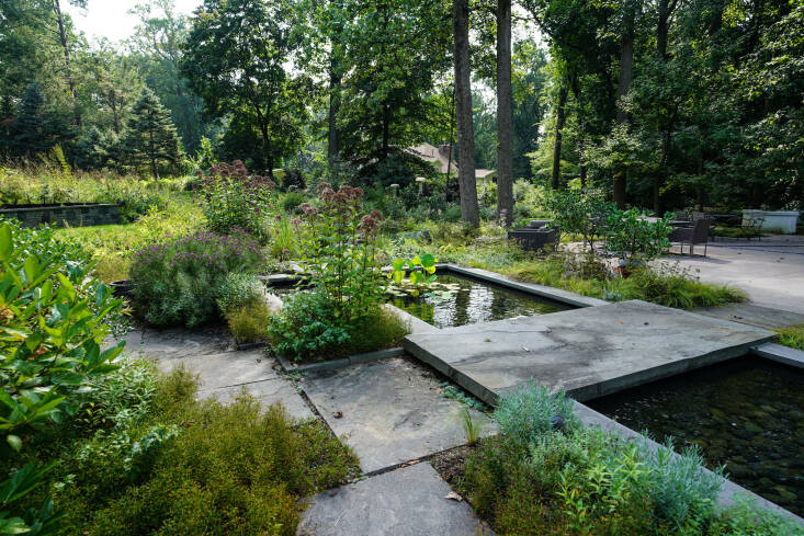  Above: Standing on the walkway looking at the formal rectilinear pool, which is planted with native lily pads and lizard’s tail, you can see the meadow in the distance, and the property’s only very small patch of lawn. 