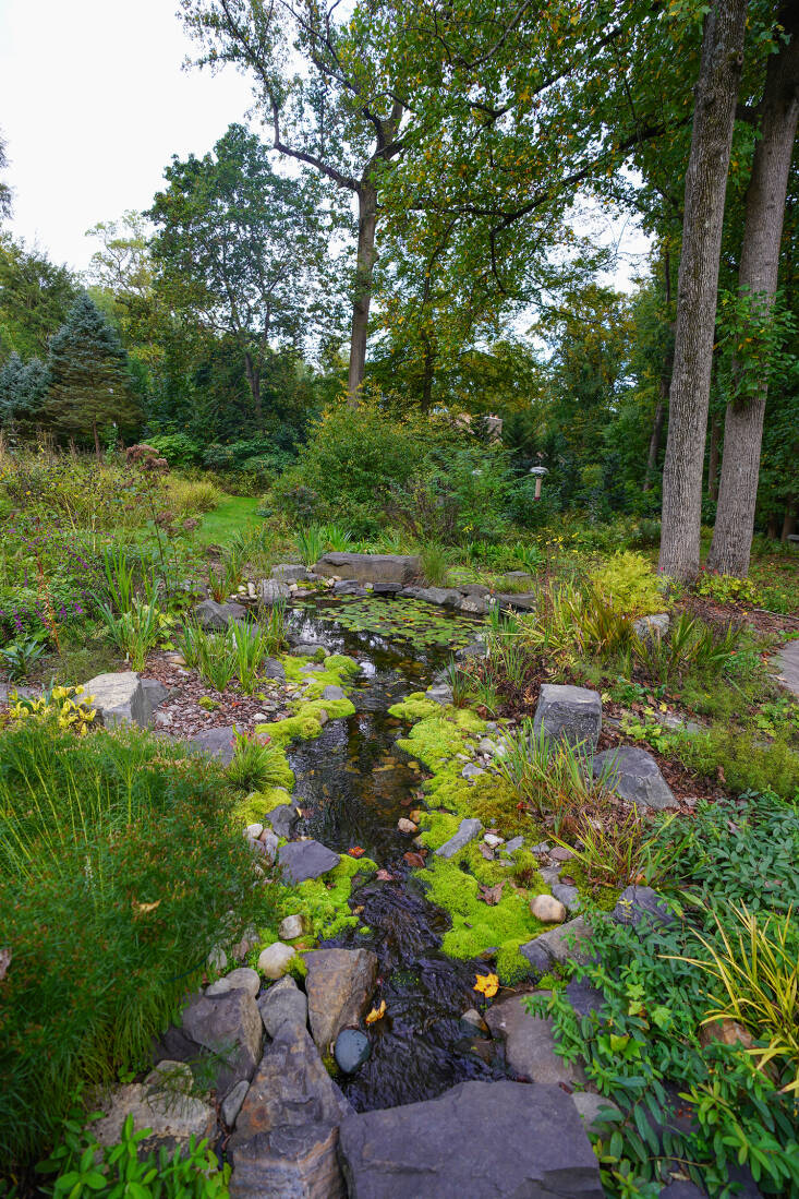 “None of the moss was planted on the edge of the stream,” says Weaner of the area, once an expanse of bamboo. “But as soon as we saw it happening, we said, oh, this would be a beautiful edge. Let&#8217;s remove anything else that shows up there.” In the spring, blue flag iris blooms on both banks.