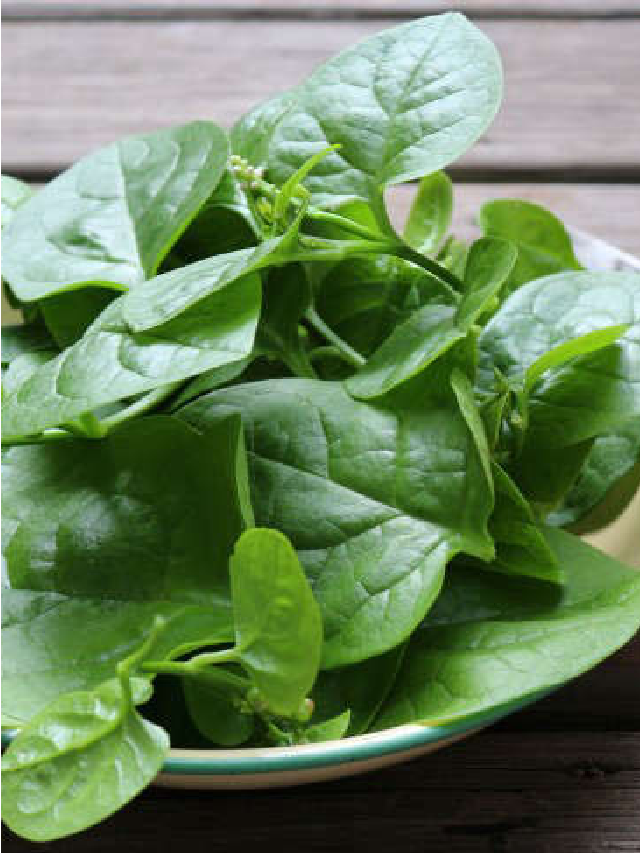 Gardening 101: Spinach - Gardenista Web Story - Gardenista