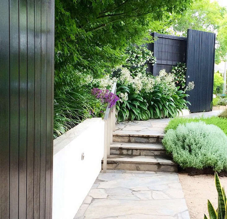 10 Easy Pieces: Instant Privacy Screens - Gardenista