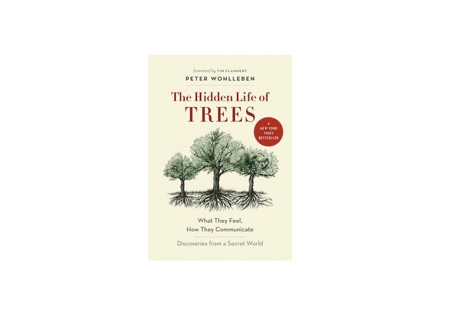 Required Reading: The Hidden Life of Trees - Gardenista