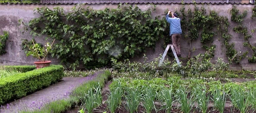 At the Movies: The Drama of Slow Gardening - Gardenista