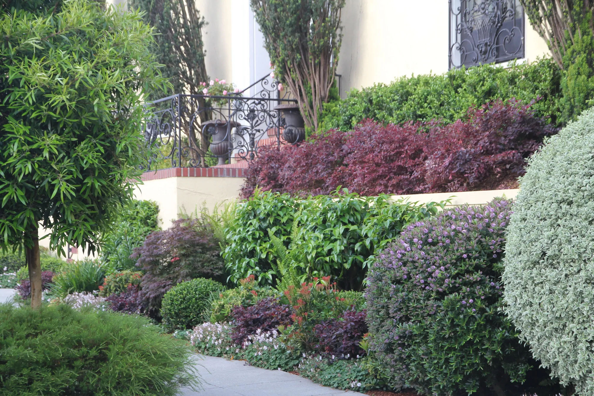 Best Curb Appeal 2017: Katharine Webster's San Francisco Street Corner - Gardenista