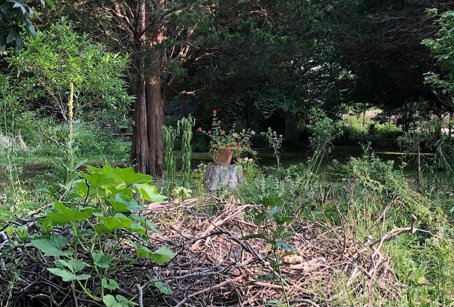 Habitat Piles: How to Turn Garden Debris Into Shelter and Sculpture