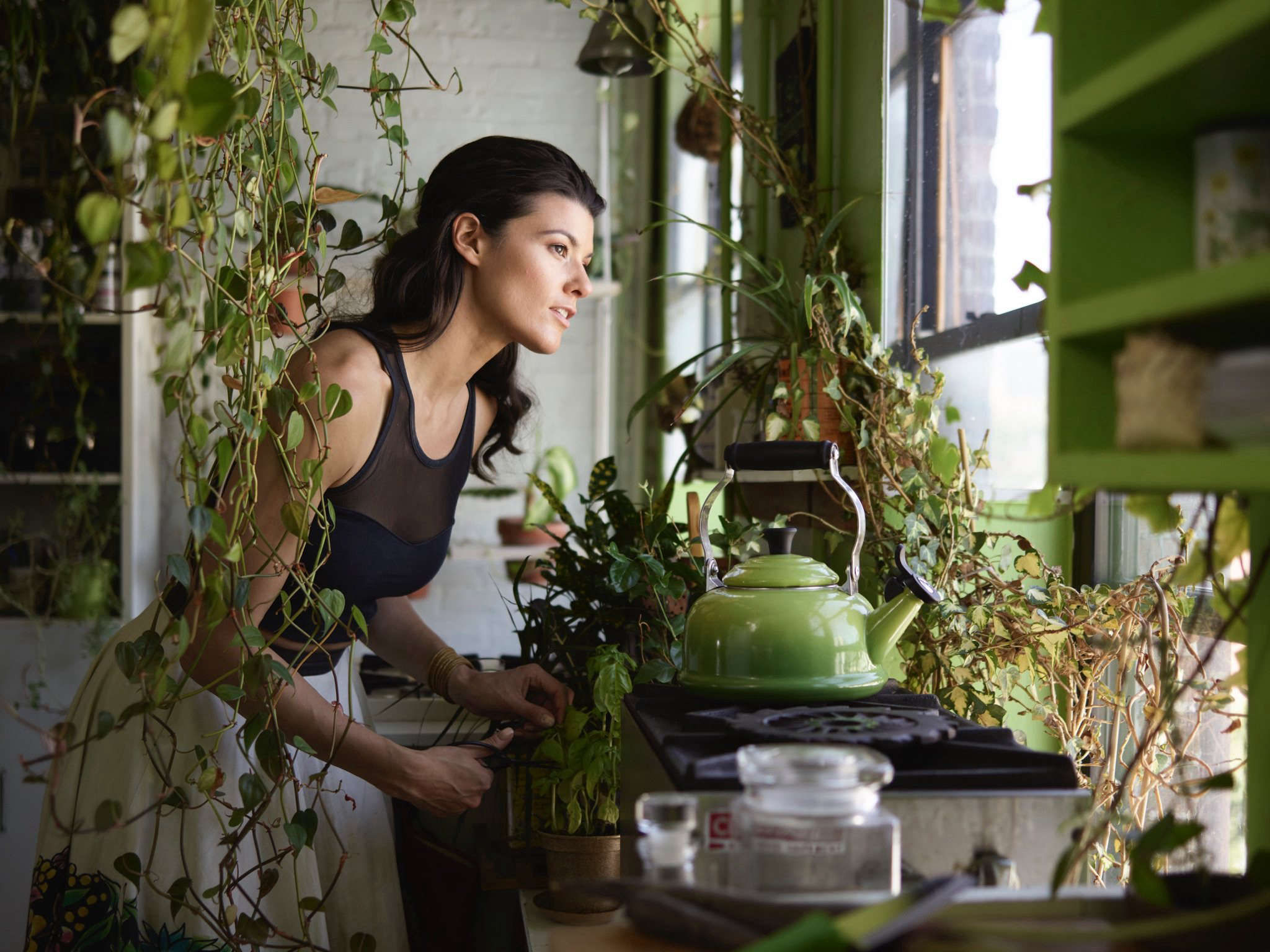 Living with 670 Plants in a Brooklyn Apartment