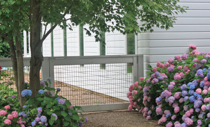 Hardscaping 101: Hog Wire Fence - Gardenista