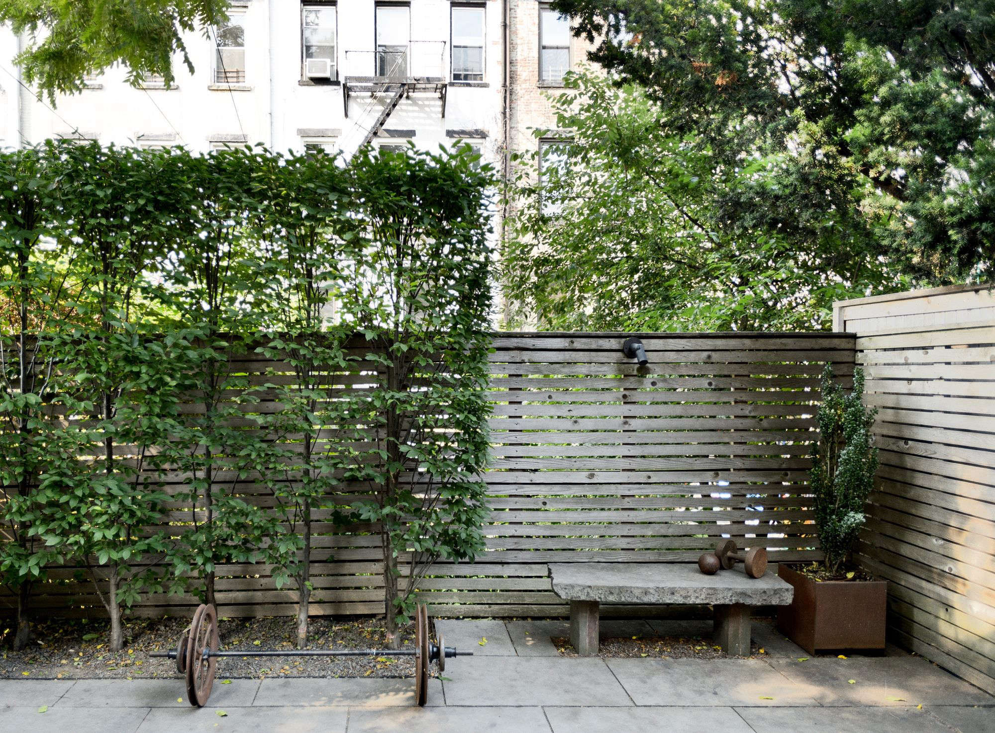 Garden Hacks: 10 Ideas for Privacy Screens - Gardenista