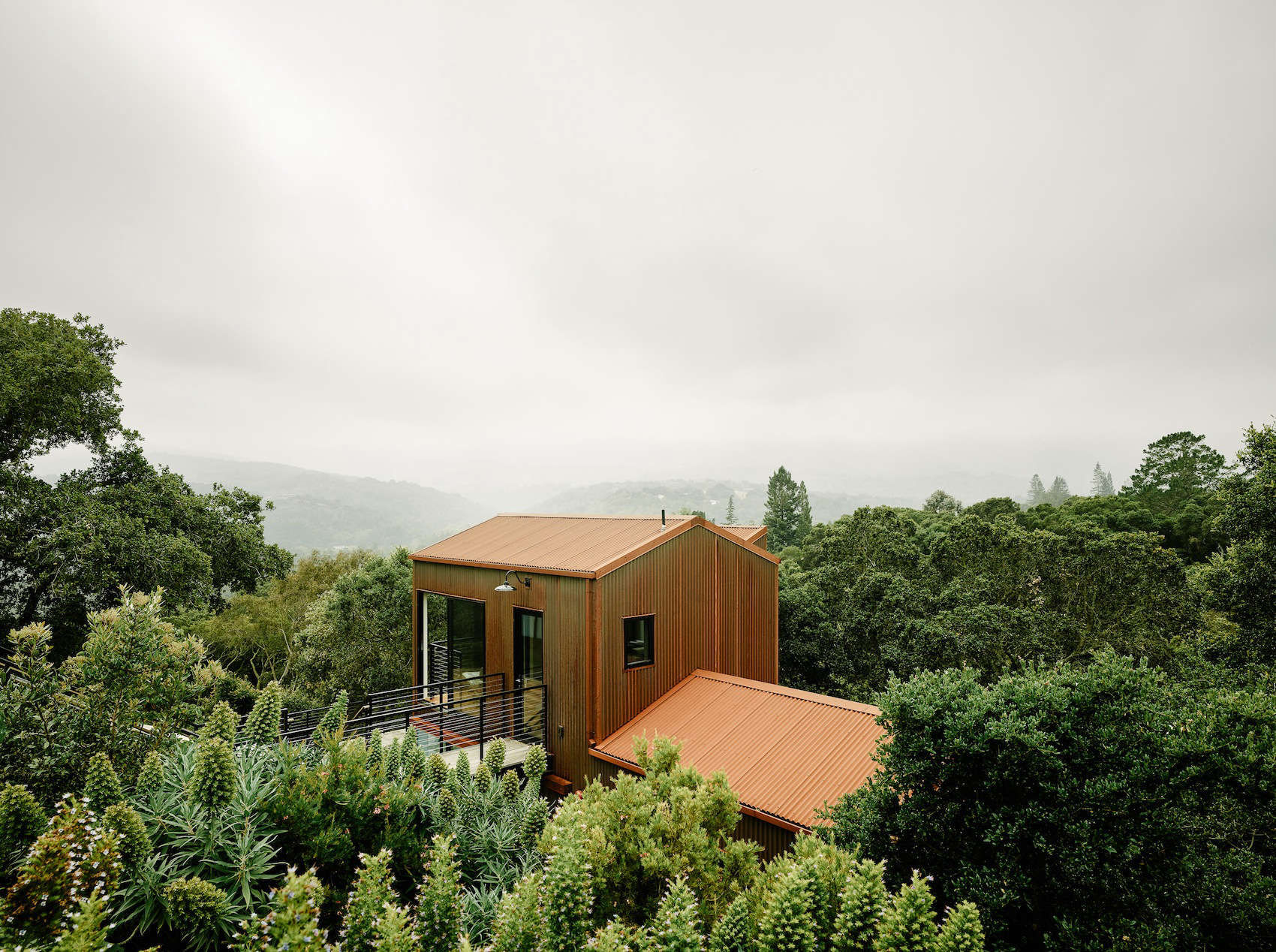 Valley Views: A Landscape Among the Treetops in Portola Valley, CA - Gardenista