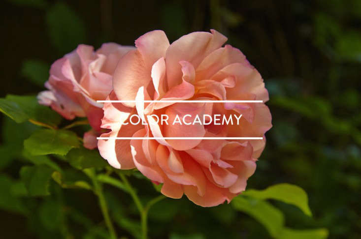 Table of Contents: Color Academy - Gardenista