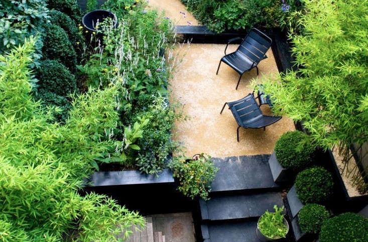 Designer Visit: The Black and Green Garden of Chris Moss - Gardenista