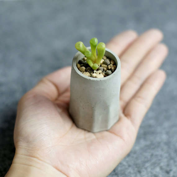 10 Easy Pieces: Portable Concrete Pots - Gardenista