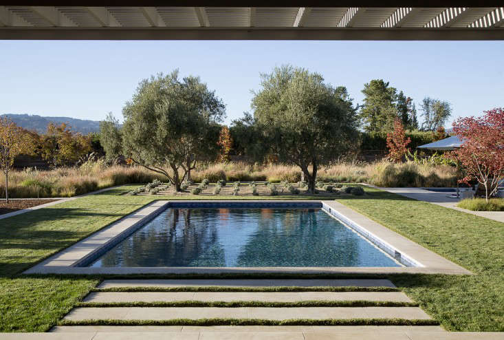 Swimming Pool of the Week: A Dive into a Napa Valley Landscape - Gardenista