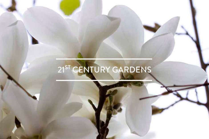 Table of Contents: 21st Century Gardens - Gardenista