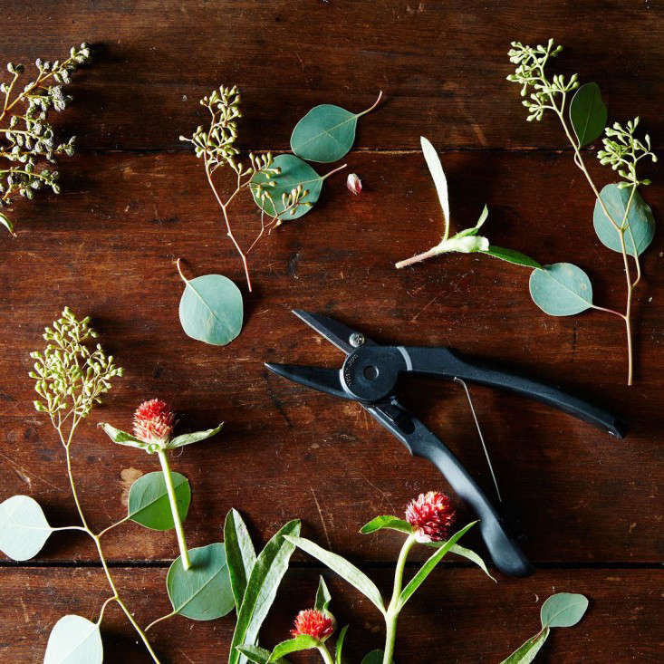 Japanese Flower Shears at Food52