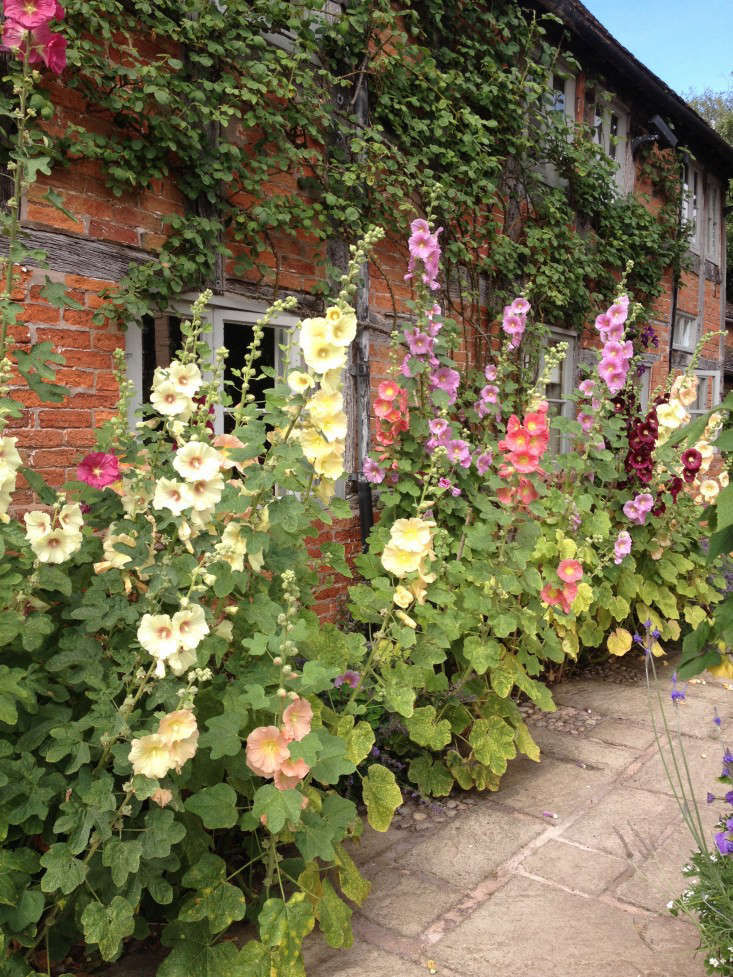 10 Garden Ideas to Steal from Wollerton Old Hall in Shropshire - Gardenista