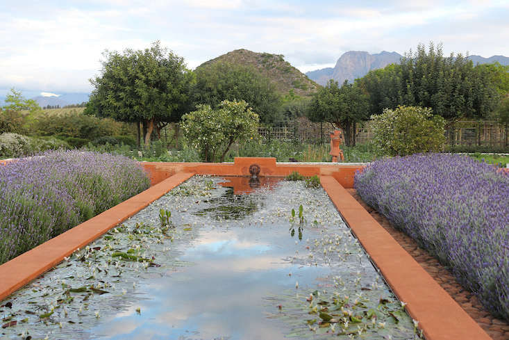 Garden Visit: Behind the Scenes at Babylonstoren - Gardenista