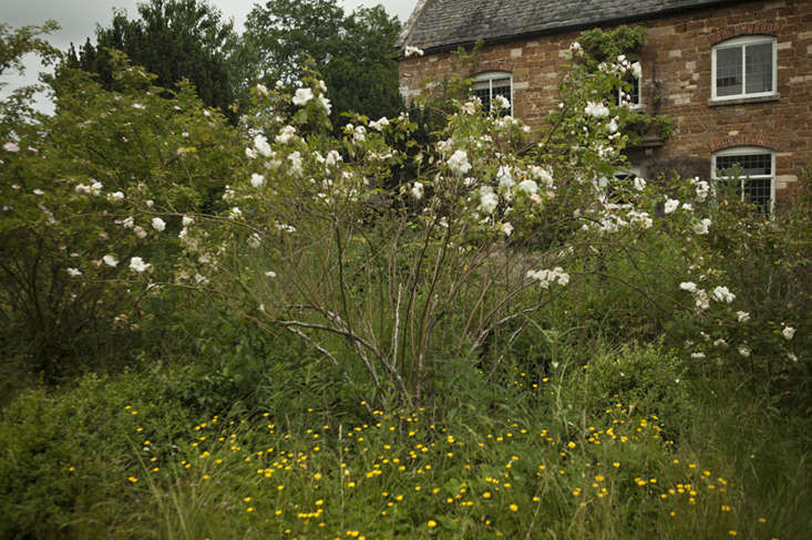 Rehab Diary, Part 1: Nancy Lancaster's Garden at Wilderness House - Gardenista