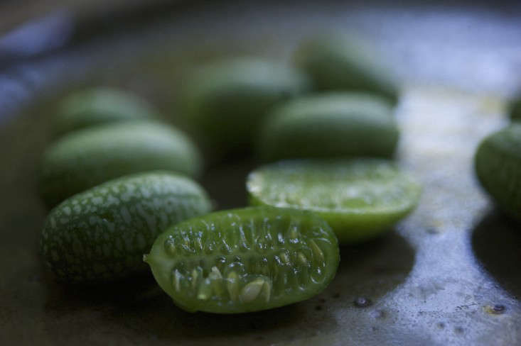 Garden-to-Table Recipe: Pickles from a Cook's Garden - Gardenista