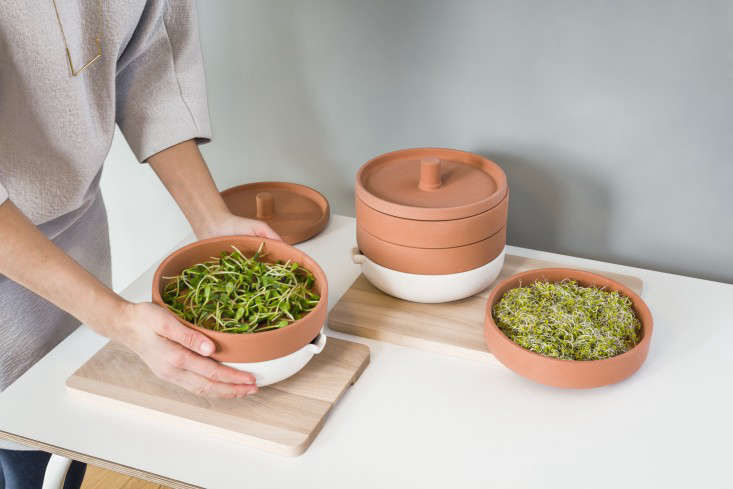 New from Ikea: A Terra Cotta Sprouter to Grow Microgreens - Gardenista