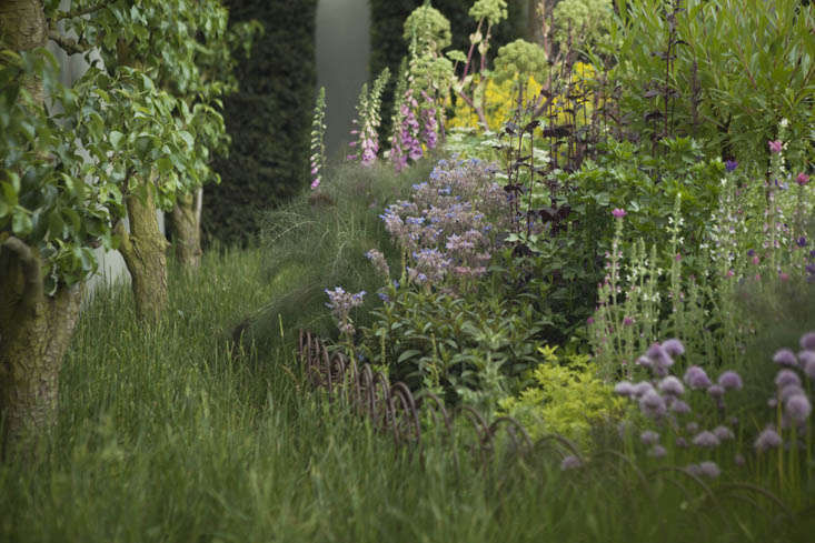 Healing Herbs: A Modern Apothecary Garden at the Chelsea Flower Show - Gardenista