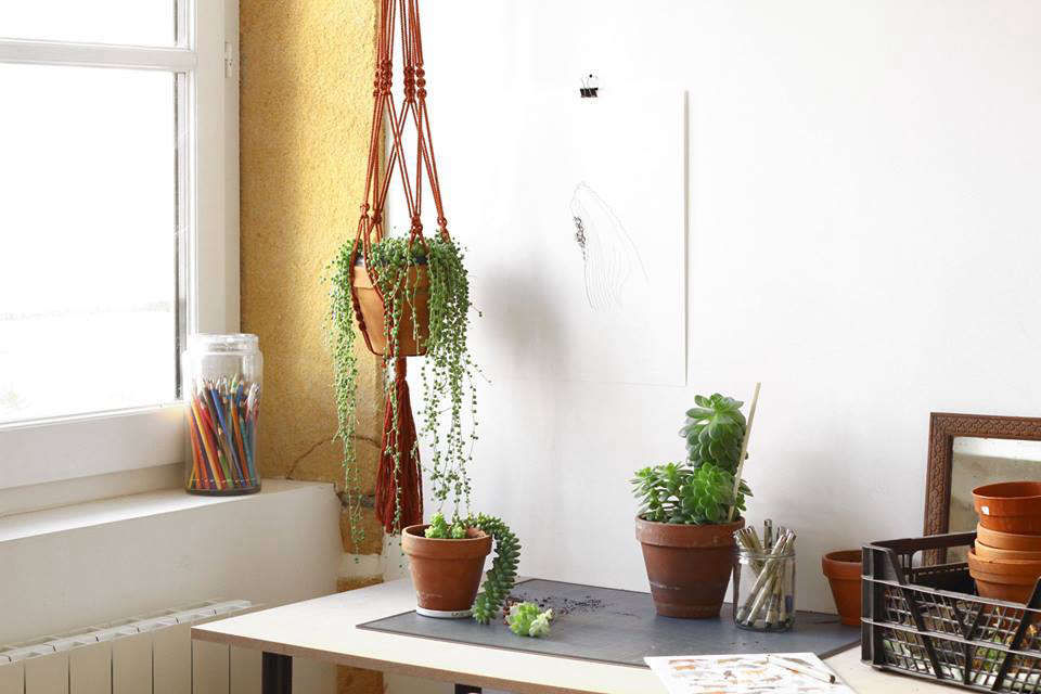 Modern Macramé Knotted Planters for a New Generation - Gardenista