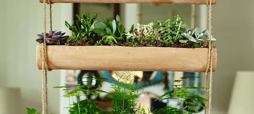 Mix-and-Match: Make Your Own Miniature Hanging Garden - Gardenista