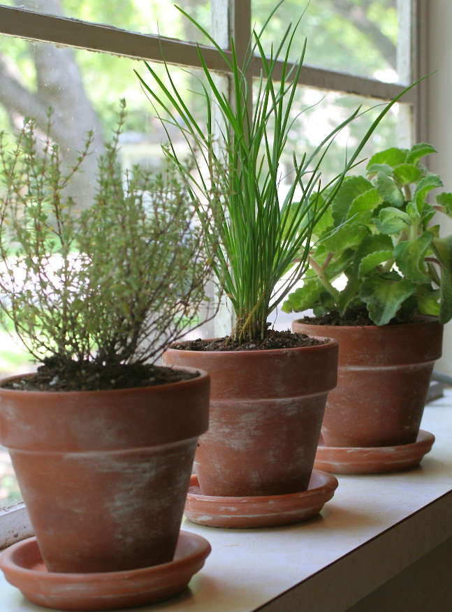 Transform Terra Cotta Pots Into Instant Antiques