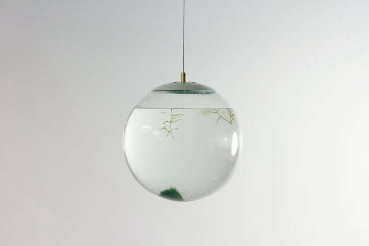 Clear Choice: A Glass Globe Terrarium by Designer Richard Clarkson - Gardenista