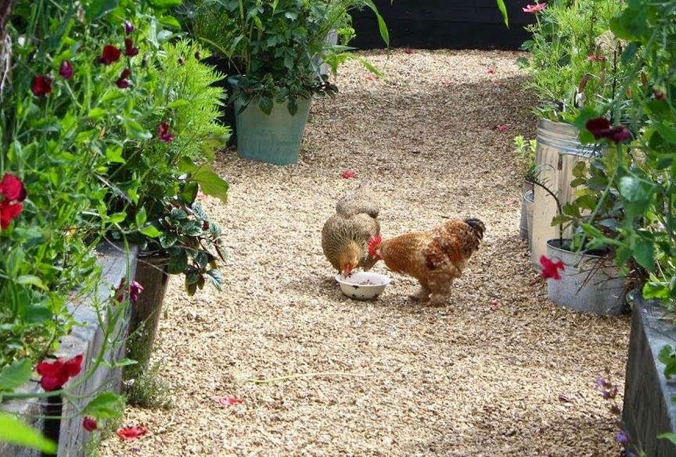 Garden Visit: A Factory Yard at Emma Bridgewater in Stoke-on-Trent -  Gardenista Web Story - Gardenista