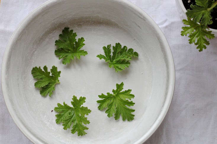 Recipe: Tea Cake with Meyer Lemons and Rose Geraniums - Gardenista