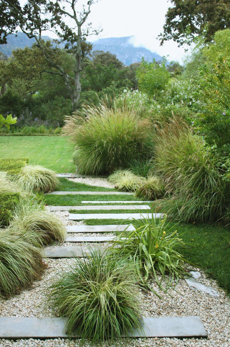 Gardening 101: Safflower - Gardenista